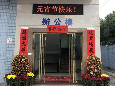 正月十五鬧元宵，新春寅虎來(lái)納福